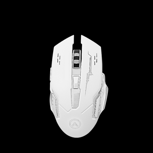 Souris Gaming Sans Fil RGB - Silencieuse